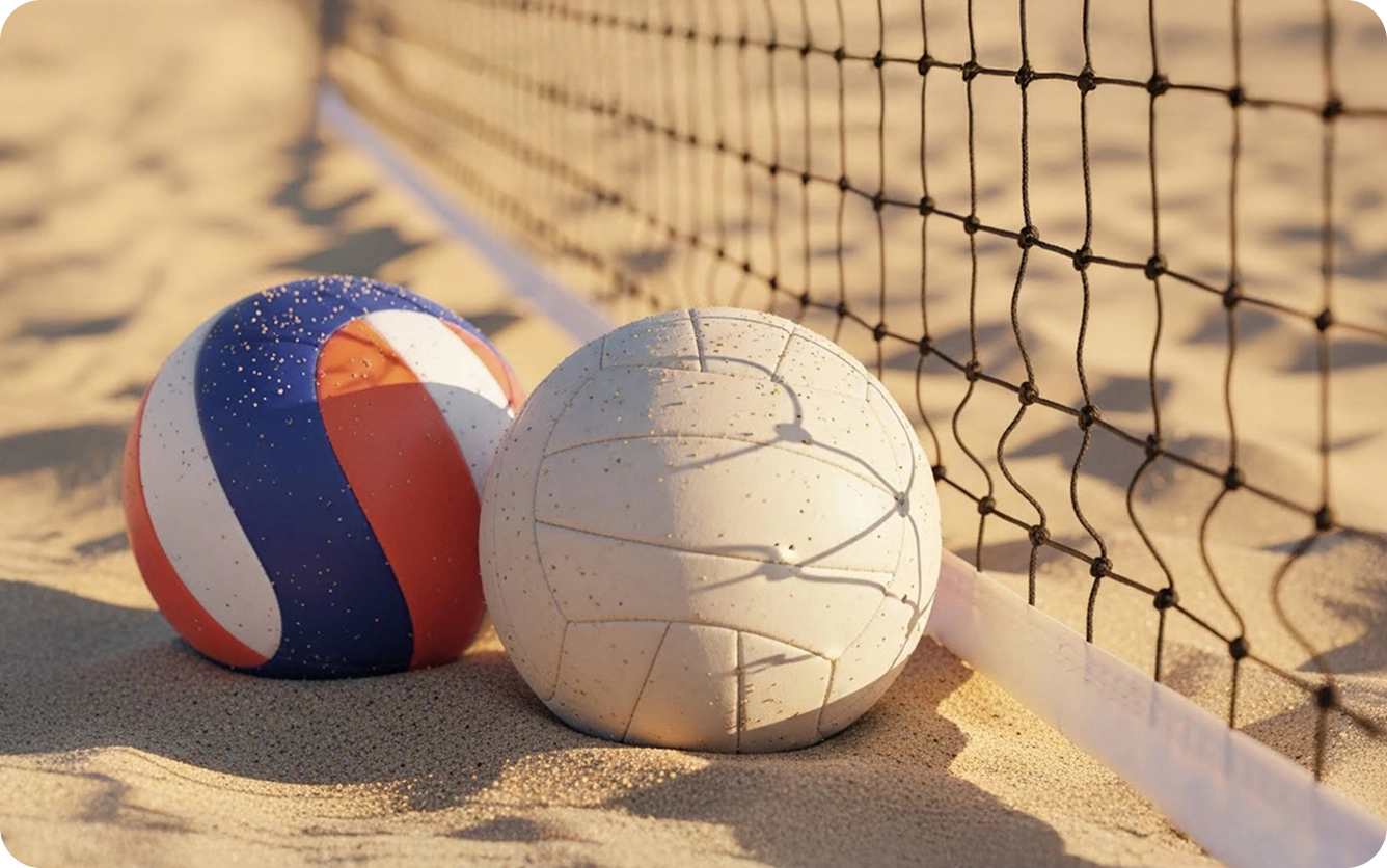 배구공 사진
